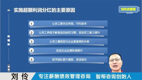 薪酬績效管理咨詢公司 第3集 股權(quán)激勵(lì)之超額利潤分紅